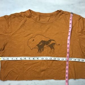 Cotton Cropped T-Shirt Buffalo Starry Mountain Med